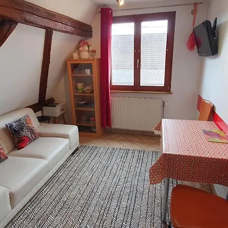 Gaby Et Georges Apartment Beblenheim Exterior photo